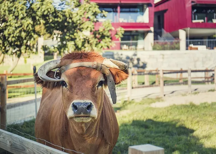 Farm Фермерский дом Арока